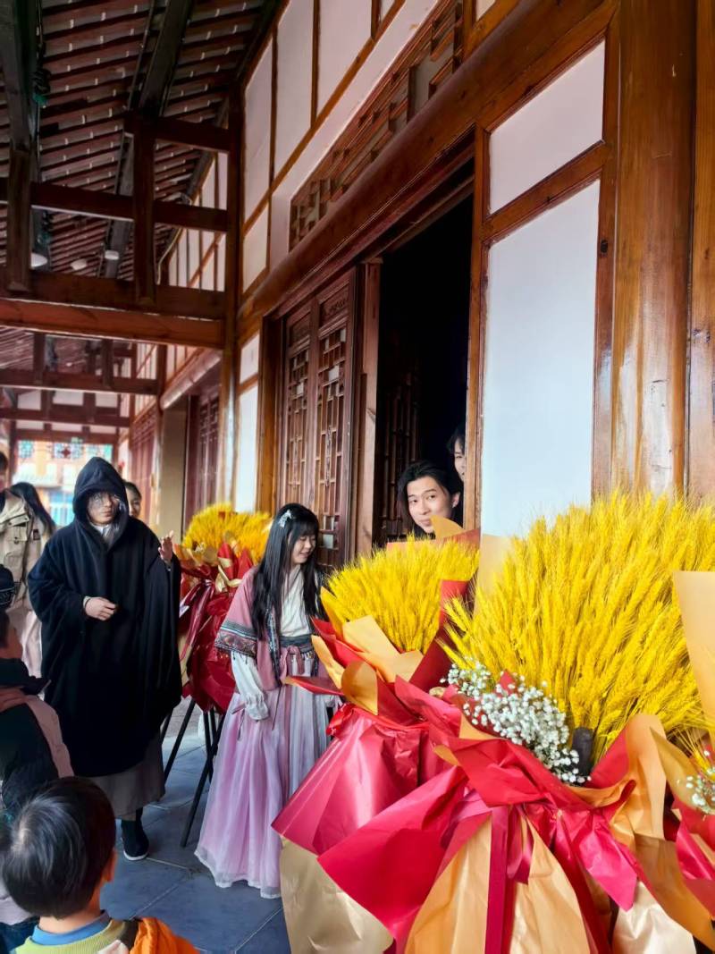 大理市文旅项目策划